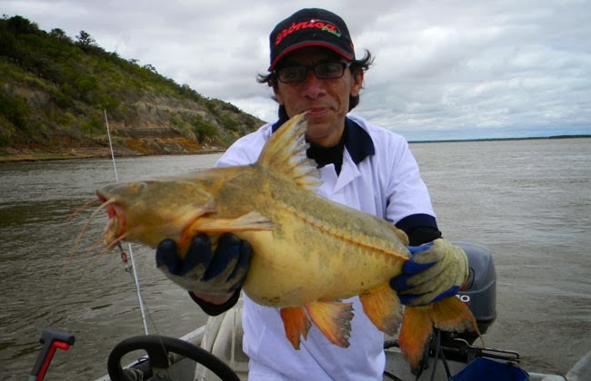 Santa Elena celebra los 25 años de la Fiesta Provincial de la Pesca del Armado