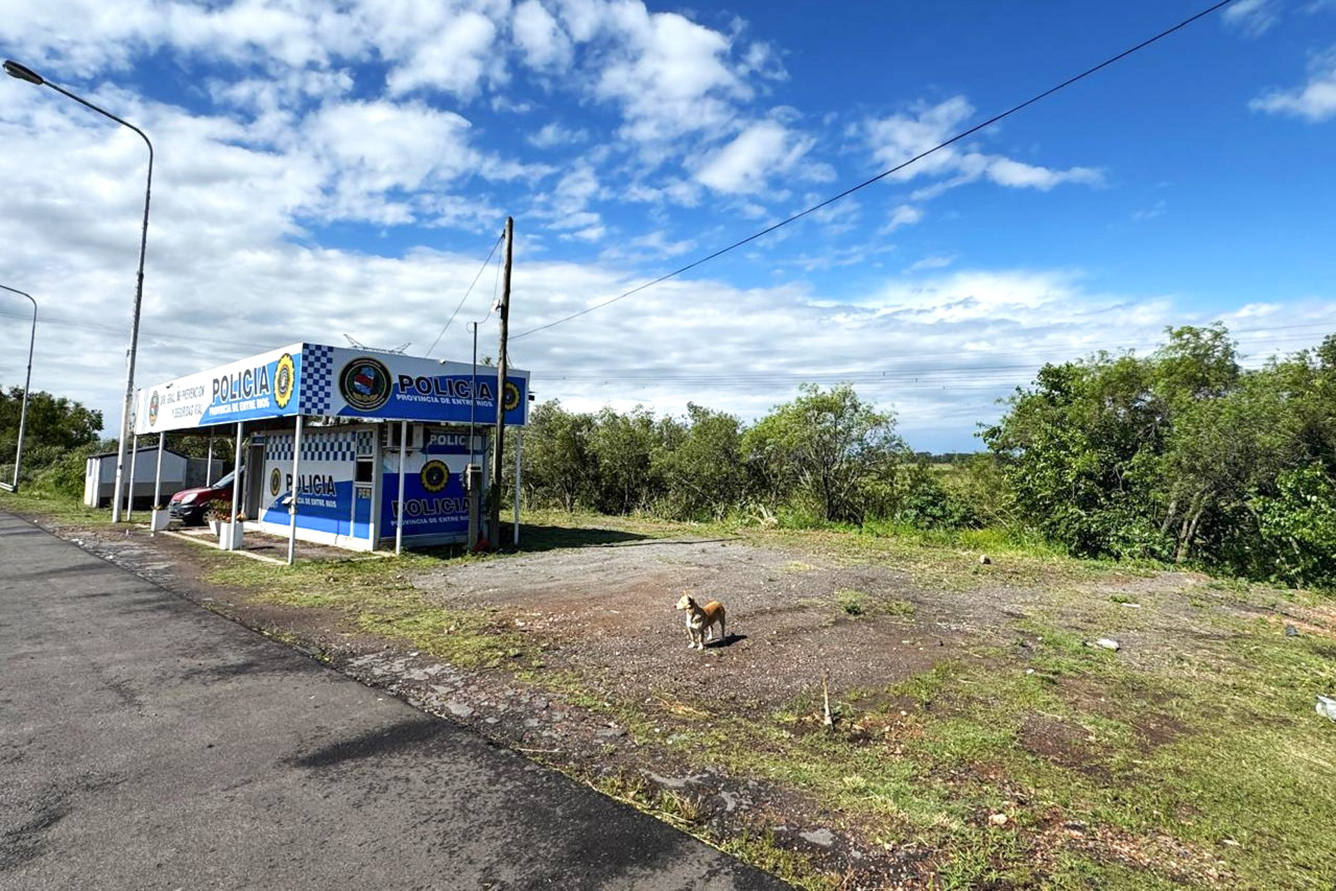 Concluyó el ordenamiento y traslado de vehículos secuestrados en ruta nacional 12
