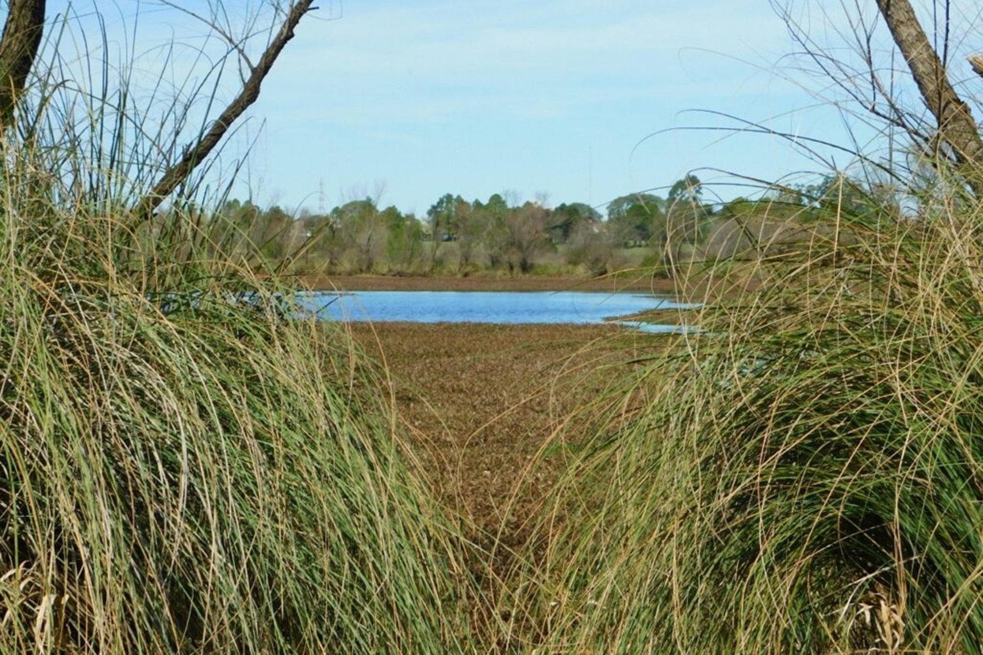 Entre Ríos será sede de un foro científico nacional sobre estudio de los mamíferos