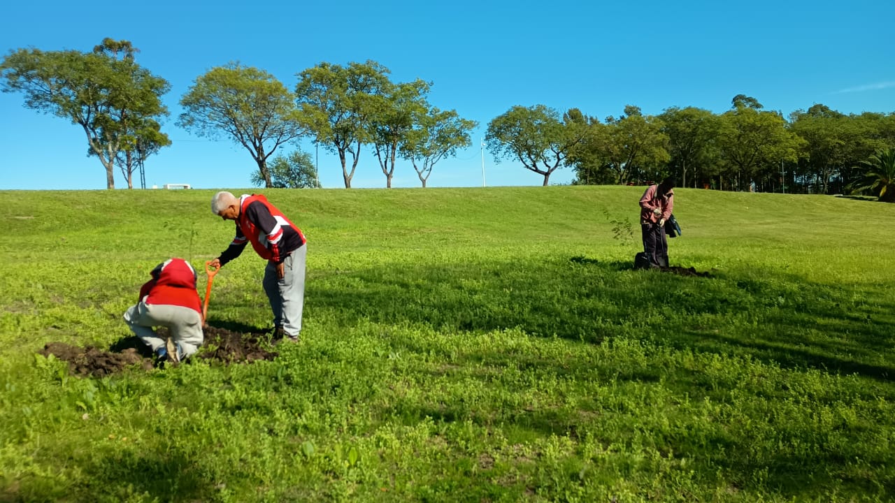 Santa Elena impulsa un plan de forestación con especies nativas en el Parque La Hoya
