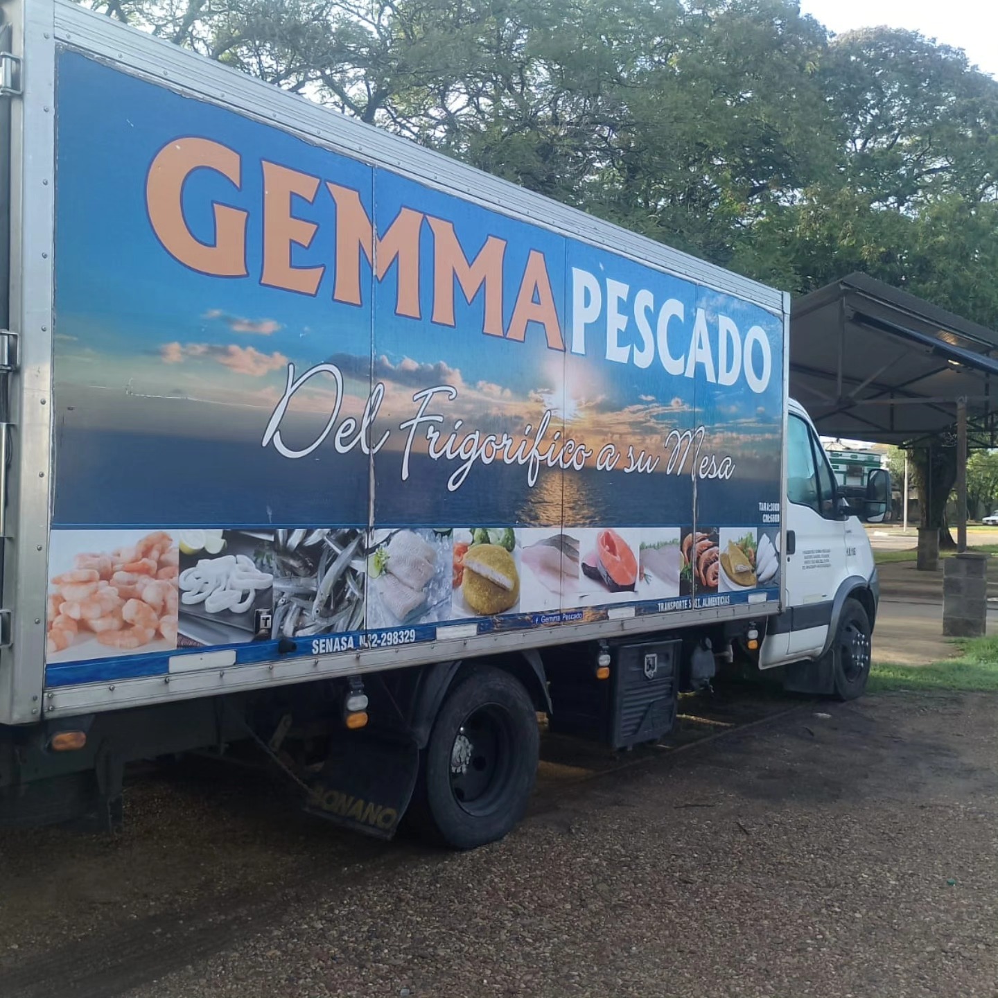 Este martes llega Gemma Pescado a La Paz