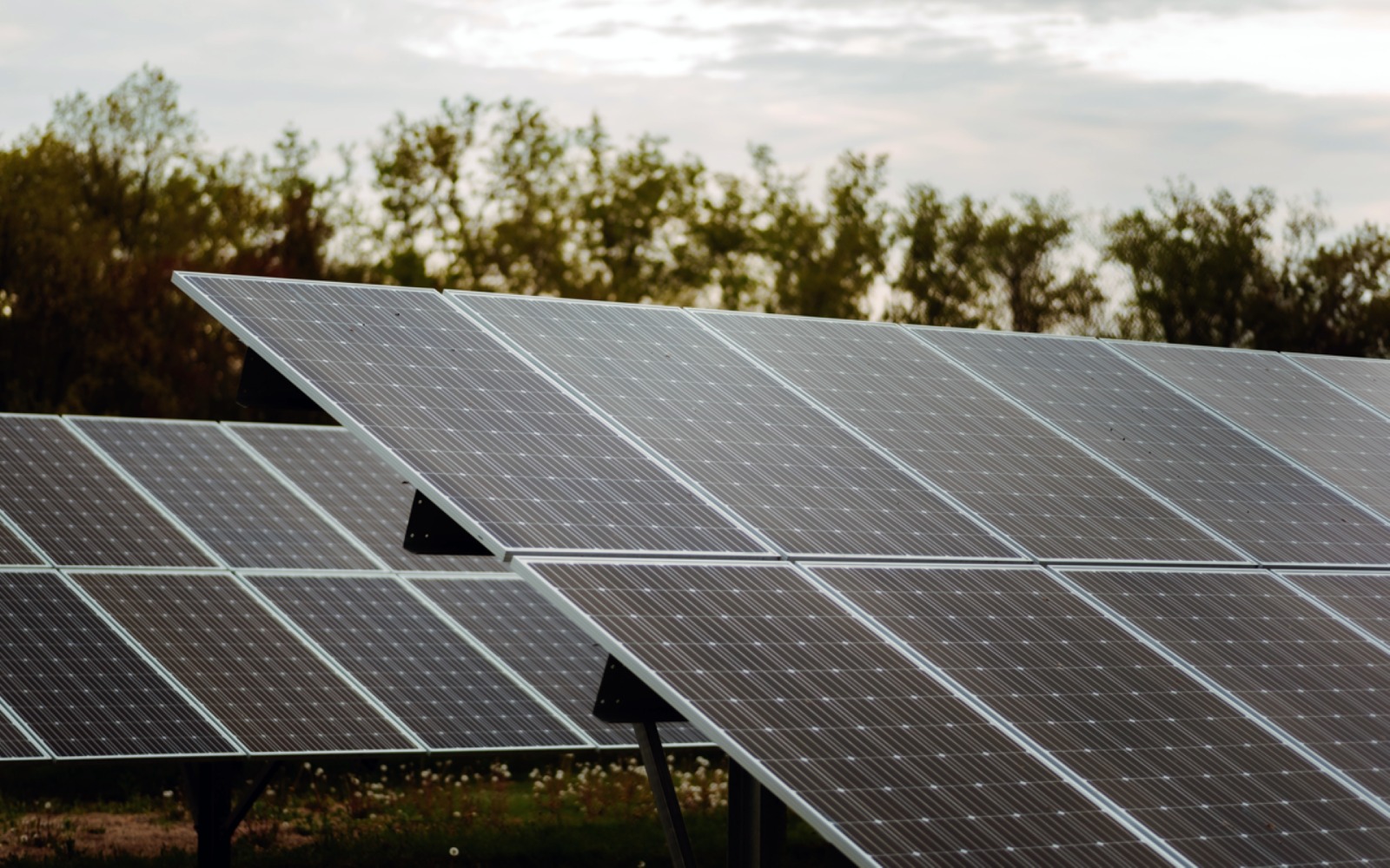 Enersa impulsa la energía limpia con sus primeros parques solares en Entre Ríos