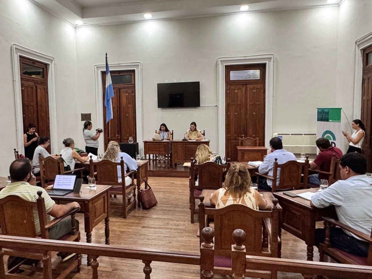 El HCD realizó su tercera sesión con una amplia agenda de proyectos