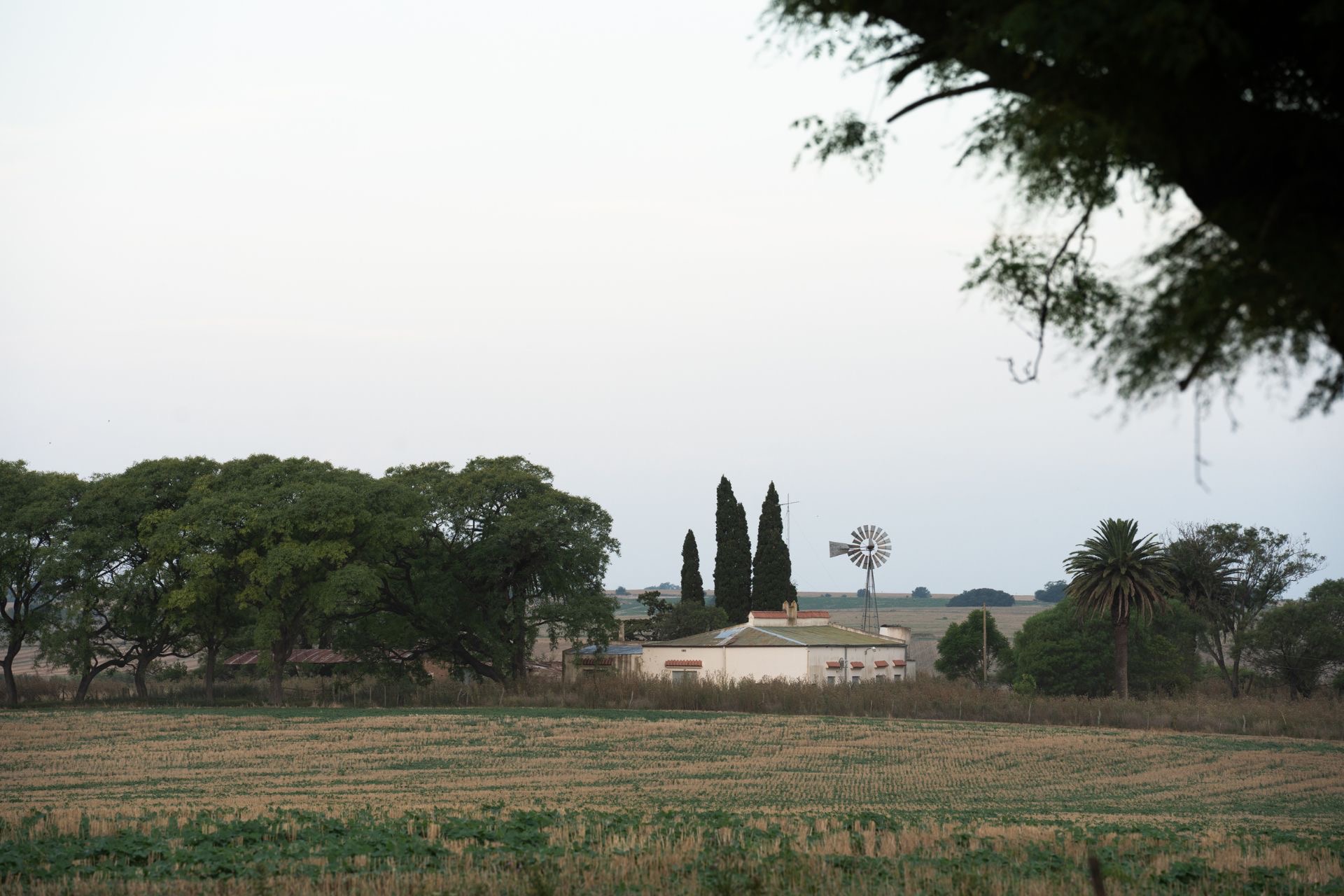 Productores entrerrianos podrán sumarse a un relevamiento nacional sobre turismo rural productivo