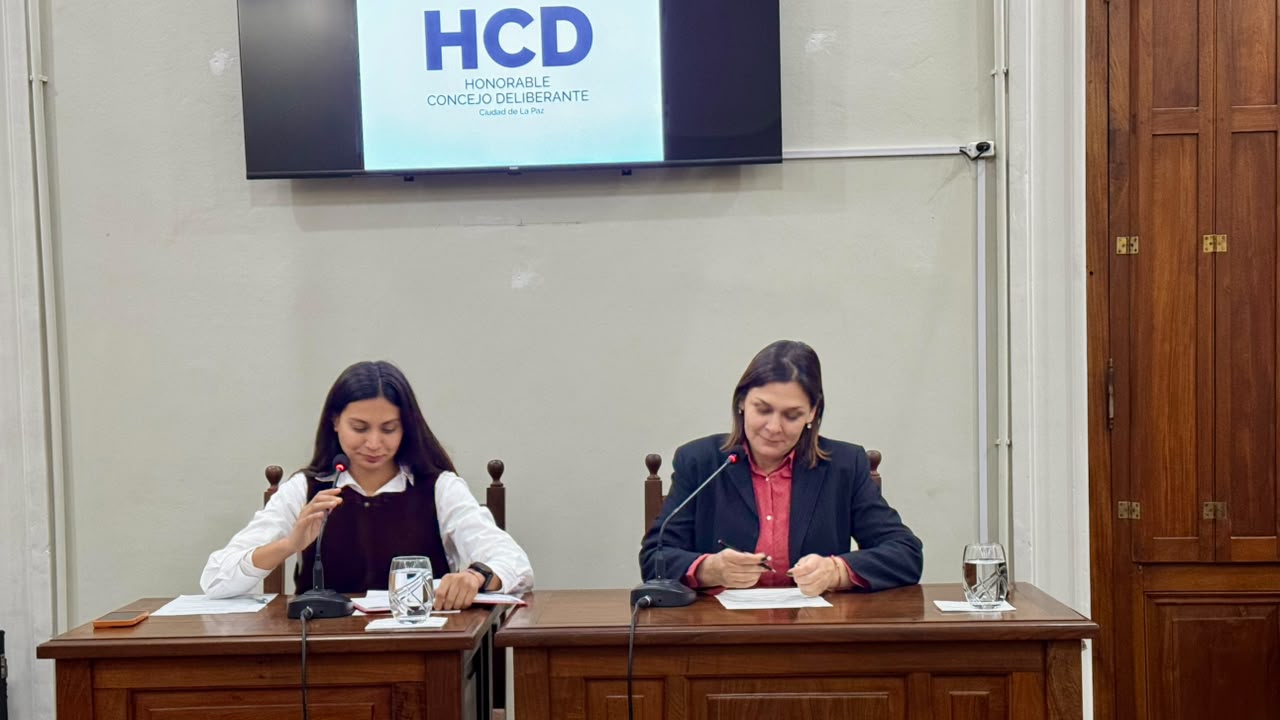 Prosecretario, licencia por violencia de género y presupuesto: los temas que pasaron por el Concejo