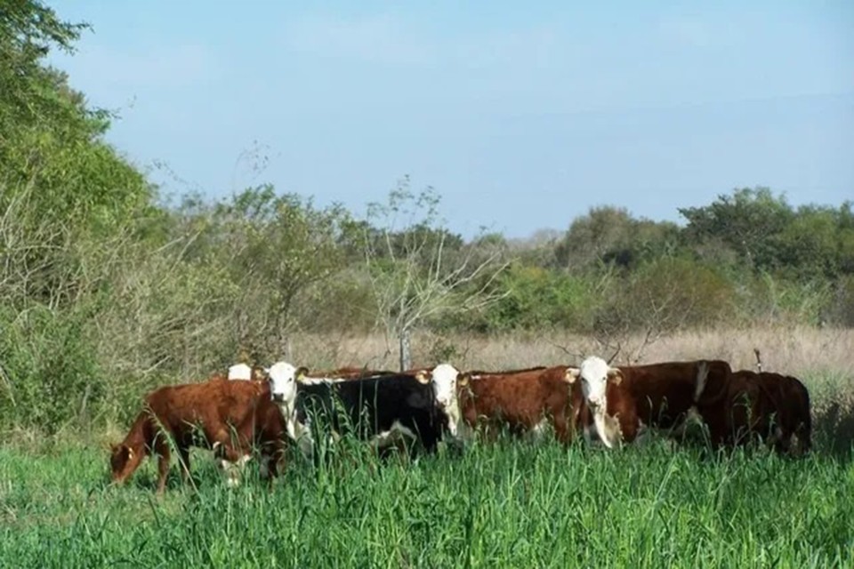 El Gobierno de Entre Ríos recuperó 124.000 hectáreas de tierras fiscales y generó nuevos ingresos para la provincia