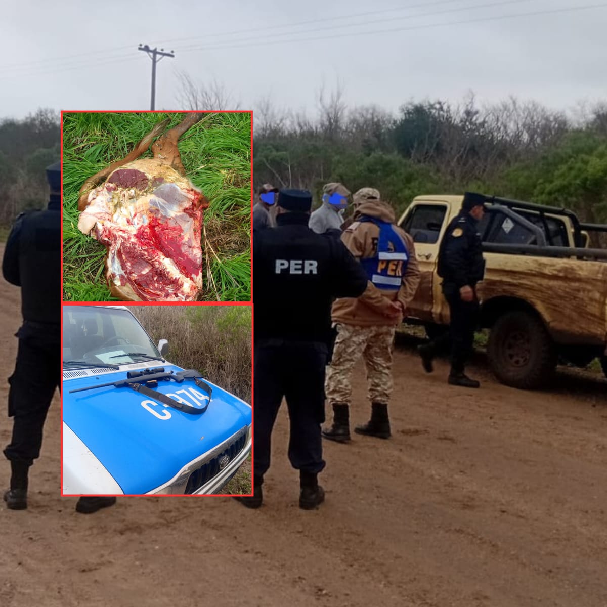 Faenaron una vaquilla, escaparon en una F-100 y terminaron detenidos