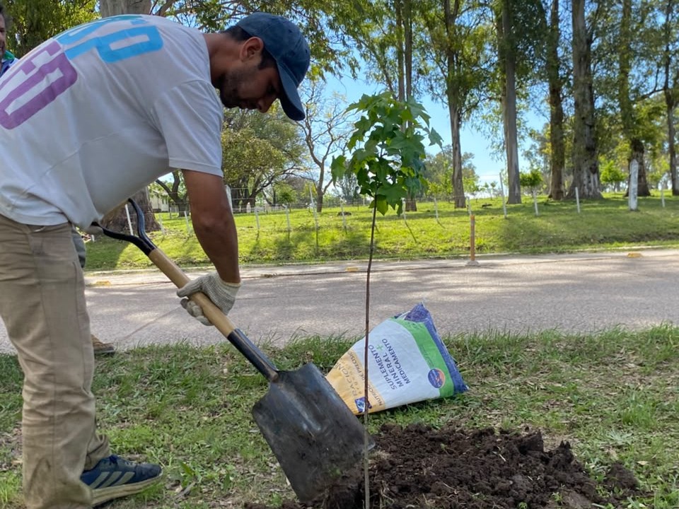 La Paz suma nuevos árboles para fortalecer los espacios verdes de la ciudad